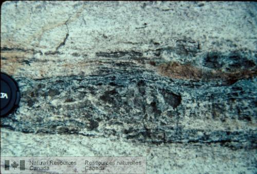 Photo 2003-069 : Morphologie du gneiss blanc Al-Mg (Complexe gneissique de Bondy). Détail des niveaux mésocrates. La cordiérite forme des amas avec l'orthopyroxène,  ...