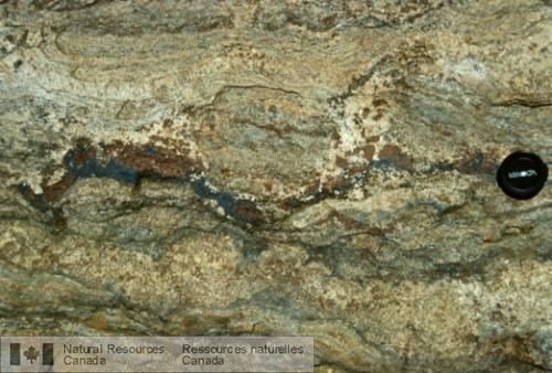Photo 2003-070 : Niveaux à magnétite et grenat grossier dans un gneiss alumineux à leucosomes grenatifères (Système hydothermal métamorphisé du Complexe gneissique de  ...
