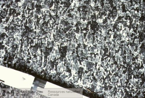 Photo 2003-101 : Mésocumulat dans l'Intrusion litée de Montjoie. Les bâtonnets de plagioclase définissent une fabrique planaire prononcée (foliation magmatique)  ...
