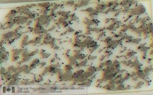 Photo 2003-109 : Photomacrographie d'un gabbronorite mésocrate folié de l'Intrusion litée de Lacordaire. Les bâtonnets présentent communément un angle qui dévie  ...