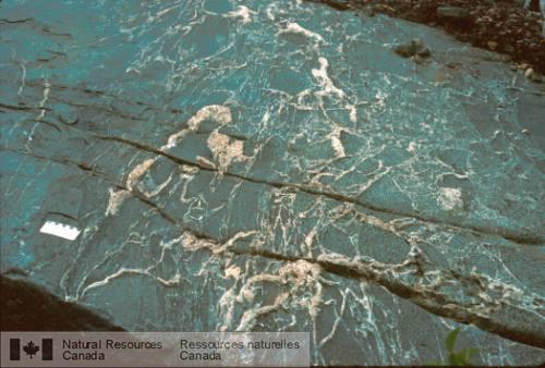 Photo 2003-125 : Brèche intrusive associée à la Suite intrusive de Chevreuil comportant des fragments anguleux de microdiorite dans du matériel granitique. Des veines  ...