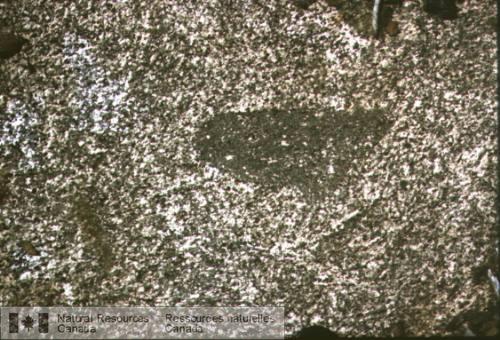 Photo 2003-137 : Monzodiorite avec foliation magmatique (définie par des mégacristaux de feldspath potassique) contournant une enclave cogénétique de microdiorite.