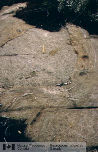 Photo 2003-139 : Diorite avec enclaves de norite. La diorite présente une foliation magmatique marquée par des ségrégations magmatiques ainsi que par l'orientation  ...