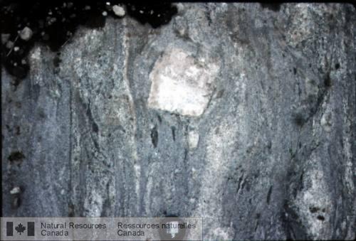 Photo 2003-141 : Fragment d'un grain grossier de feldspath potassique provenant fort probablement d'une pegmatite rose typique des encaissants. Le magma hôte  ...