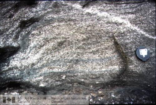 Photo 2003-142 : Rubanement magmatique dans de la monzodiorite