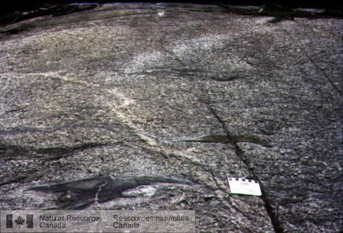 Photo 2003-145 : Feuillet de monzonite homogène avec enclaves cogénétiques dispersées