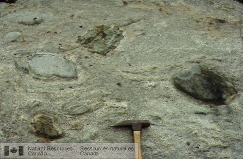 Photo 2003-150 : Enclaves de microdiorite allongées et orientées parallèles à la foliation magmatique dans une diorite hybride. Les xénolites de roche calco-silicatée  ...