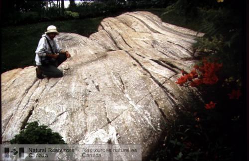 Photo 2003-152 : Injections multiples de dykes de monzonite porphyrique et d'amphibolite dans la zone de Nominingue-Chénéville. Les dykes mafiques sont recoupés par  ...