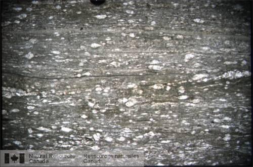 Photo 2003-153 : Symétrie des queues de recristallisation de phénocristaux de feldspath potassique dans une monzonite oeillée