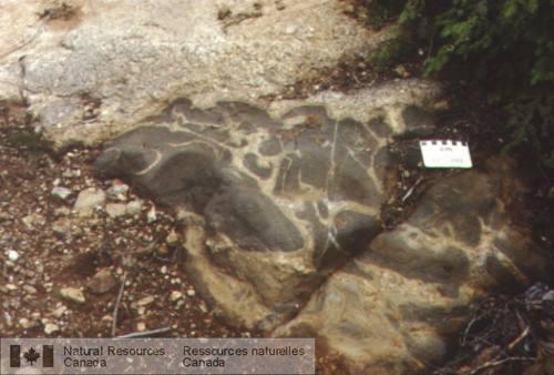 Photo 2003-162 : Dyke composite mafique-felsique dans la métatonalite du Complexe gneissique de Bondy. La pegmatite marginale est homogène et massive. Le coeur de  ...