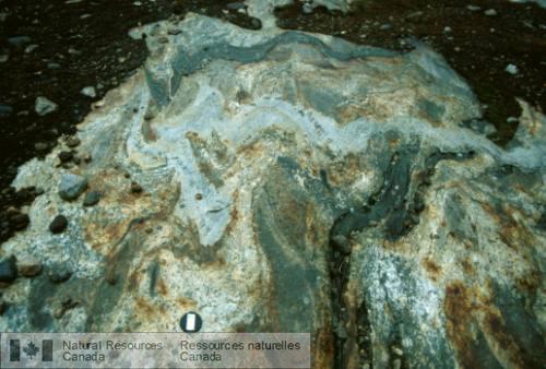 Photo 2003-175 : Dyke plissé de microdiorite de la Suite intrusive de Chevreuil recoupé par un dyke de granite à grain fin de la Suite de Lanthier.