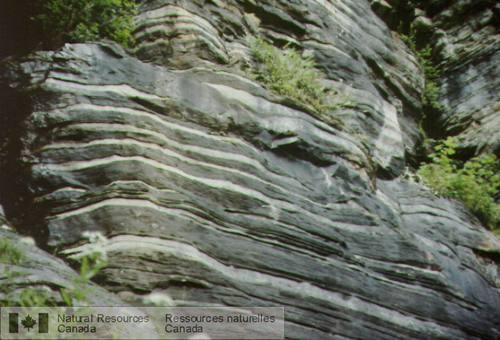 Photo 2003-177 : Filons-couche et dykes de granite blanc injectés dans du marbre à la bordure nord de la Ceinture métasédimentaire centrale. Les filons-couche  ...