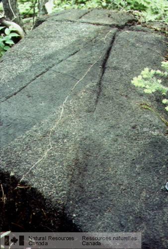 Photo 2003-180 : Dykes rectilignes de pyroxénite micacée qui recoupent la foliation magmatique de la diorite du Pluton de Kensington