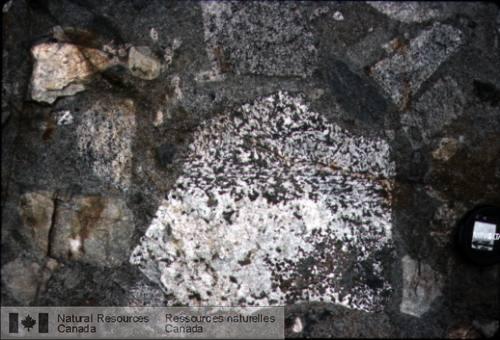 Photo 2003-197 : Xénolites de gabbro à grain grossier de la section C7 dans le Dyke de Rivard