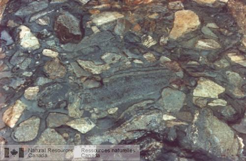 Photo 2003-199 : Xénolites du Dyke de Rivard dans la section B9 et B10. Noter les variations de texture, de composition, de forme et d'angularité des xénolites.