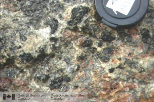 Photo 2003-214 : Assemblage cordiérite-grenat-feldspath potassique-orthopyroxène-plagioclase-quartz dans un leucosome massif recoupant la gneissosité d'un gneiss  ...