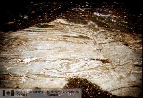 Photo 2003-248 : Gneiss alumineux hétérogène avec des compositions modales très variées accentuées par la formation de mélanosomes et de leucosomes plissés.