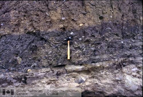 Photo 2003-301 : Sédiments glaciolacustres déposés à la suite dune avancée de glaciers de montagne qui ont déposé le till sous-jacent cisaillé par une réavancée de  ...