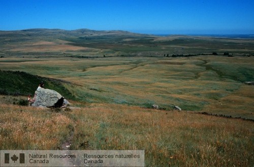 Photo 2003-304 : Trois gros blocs de quartzite faisant partie de la Traînée derratiques de Foothills