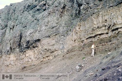 Photo 2003-311 : Roches sédimentaires et roches volcaniques de milieu marin des Volcanites de Cold Fish, qui forment une partie de la coupe j, dans le district de  ...
