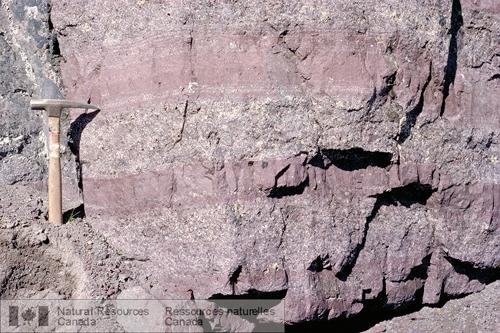 Photo 2003-314 : Tuf de retombées bien stratifié de couleur bordeaux des Volcanites de Cold Fish, près de la base de la coupe (n), dans le district de Will. La  ...