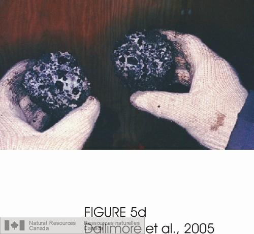 Photo 2005-030 : Photo prise à linstallation de forage du puits JAPEX/JNOC/GSC et al. Mallik 5L-38 lors du carottage. (d) Hydrates de gaz visibles constituant la  ...