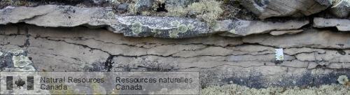 Photo 2005-173 : Couches composées de grès à stratification oblique en auge dans une coupe naturelle du Membre de Dunlop (MFd) de la Formation de Manitou Falls, près  ...