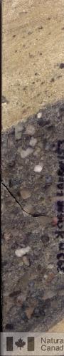 Photo 2005-176 : Conglomérat à granules (avec une faible quantité de petits cailloux) daspect caractéristique, près du sommet du Membre de Bird (MFb) de la Formation  ...
