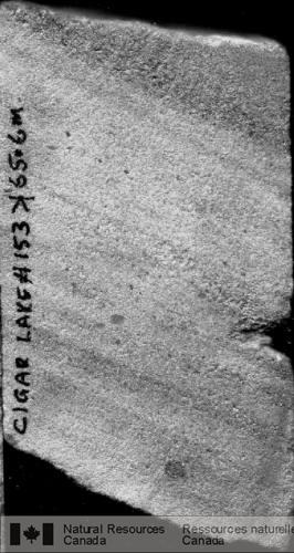 Photo 2005-180 : Grès moyen-fin à lamination oblique de rides dans une portion libre dintraclastes, atypique, du Membre de Dunlop (MFd) de la Formation de Manitou  ...