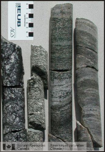 Photo 2006-054 : Carottes de forage montrant la granodiorite de Fishing Creek et ses phases dérivées qui témoignent de la différenciation et de la rétrogression de la  ...