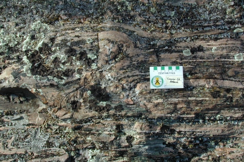 Photo 2006-184 : Arkose rubanée à minéraux calcosilicatés de la Formation de Causier Creek, au nord du lac Courtenay