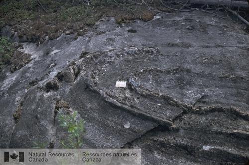 Photo 2006-185 : Pli isoclinal P1 dans une succession de marbre et de quartzite (crêtes résistantes) interstratifiés de la Formation de Karin Lake, le long de la  ...