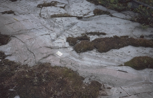 Photo 2006-192 : Rare occurrence de stratification bien conservée dans une arkose/subarkose de la Formation de Burbidge Lake à lintérieur dune fenêtre de faible  ...