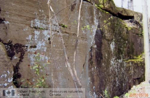 Photo 2008-064 : Grès de la Formation de Covey Hill (Membre de Hannawa Falls) affleurant dans un vaste lambeau dérosion près de Sanbury, Ontario. On attribue une  ...