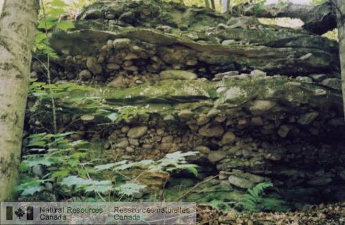 Photo 2008-071 : Formation de Covey Hill (Membre de Chippewa Bay) au parc provincial du Lac Charleston  conglomérat à galets de quartz montrant une texture à  ...