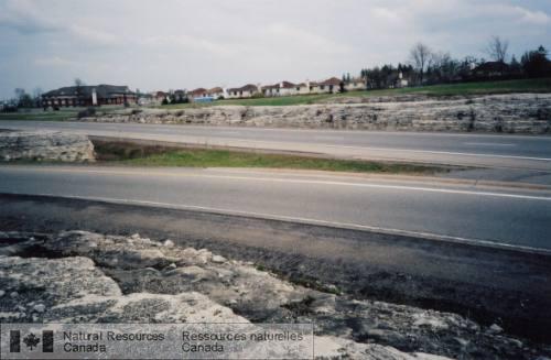 Photo 2008-108 : Grès de la Formation de Nepean affleurant à léchangeur du chemin Terry Fox de lautoroute 417