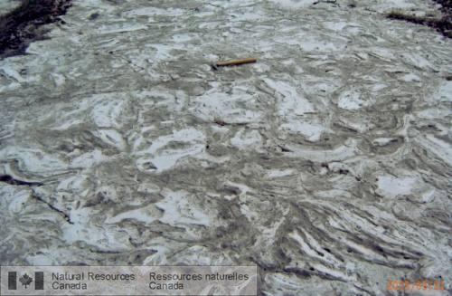Photo 2008-109 : Couche superficielle de biostrome stromatolitique à léchangeur du chemin Terry Fox de lautoroute 417