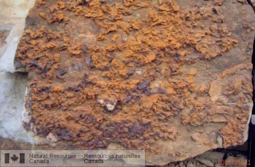 Photo 2008-122 : Dépôts de goethite de couleur orange jaunâtre le long de fractures