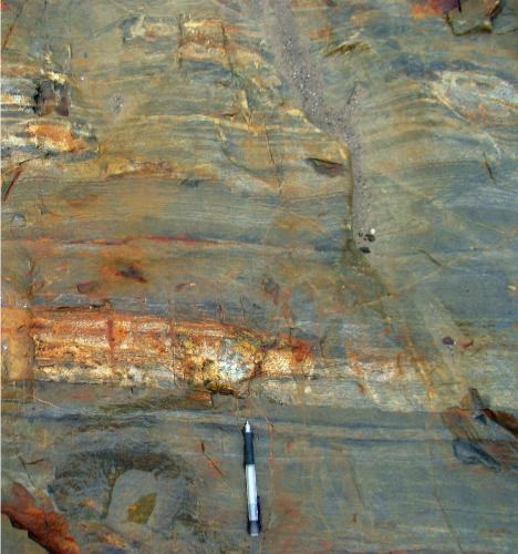 Photo 2010-002 : Photo showing bedding and bedding-parallel calc-silicate replacement transposed parallel to S2