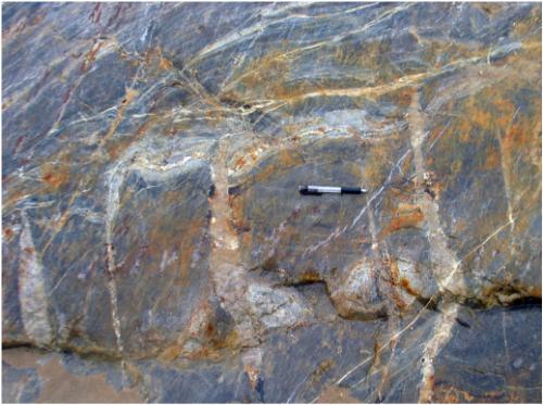Photo 2010-012 : Photo showing sheeted quartz-feldspar-tourmaline ± arsenopyrite ± pyrrhotite veins cross-cutting calc-silicate replacement bands