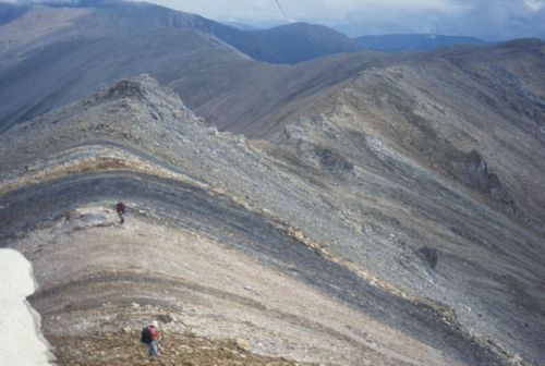 Photo 2010-100 : Moodie Creek Section within the Cassiar Terrane showing a 6 km long section of Kechika Formation which is gradationally overlain by black shale and  ...