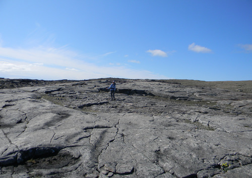 Photo 2012-153: Water-escape cylinders in the Cambrian sandstone. D. Exposure of column approximately 15 m in diameter (person for scale).