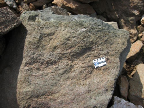Photo 2012-185: Outcrop photograph of peridotite breccia consisting of rounded fragments in a medium-to coarse-grained peridotite matrix (not sampled).