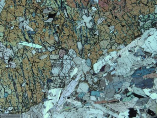 Photo 2012-186: Photomicrograph illustrating large olivine crystal (Ol) with ilmenite (Ilm) and spinel (Sn) inclusions, cut by with serpentine-filled fractures (Se),  ...
