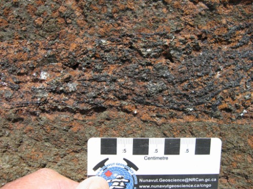 Photo 2012-188: Outcrop photograph of layer of medium-grained, ilmenite- and spinel-rich peridotite (C-112D1) within more massive peridotite