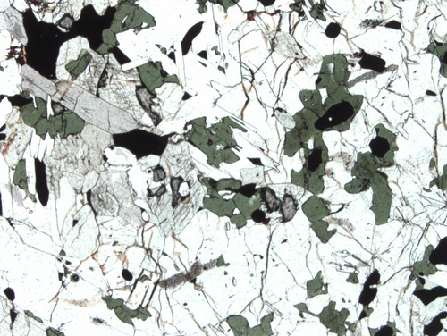 Photo 2012-189: Photomicrograph illustrating fracture continuity and high-temperature composition (Mg-hornblende; Mg-Hb) suggest a primary origin for this amphibole,  ...