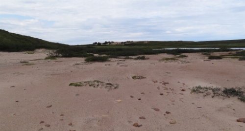 Photo 2013-061 : Wind erosion of sandy glaciofluvial sediments