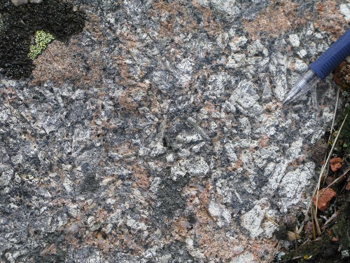 Photo 2013-171 : Mallery Gabbro - plagioclase porphyry variant - note infiltration/metasomatism by younger Mallery Granite