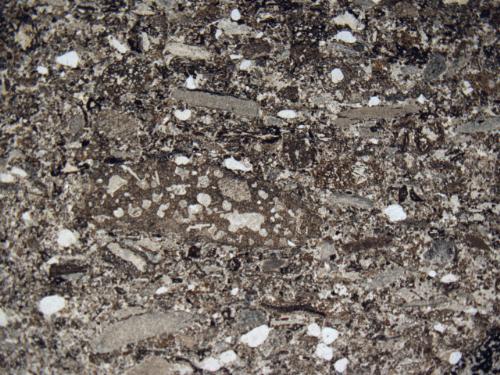 Photo 2013-252: Photomicrograph (2.5x magnification, plane polarized light) of C1 texture showing mud clasts, scoriaceous clasts, and quartz grains (qtz).