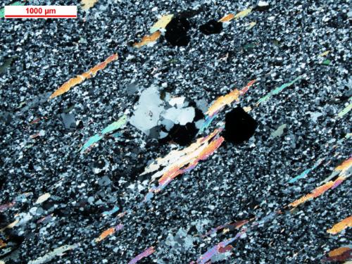 Photo 2013-294: Sheared polycrystalline quartz porphyroclasts with biotite along the predominant foliation with shear sense indicated by arrows (cross-polarized;  ...